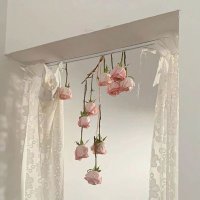 🌷 (@whiterosesadm26) 's Twitter Profile