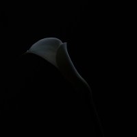 Leo photo (@leo_photo) 's Twitter Profile