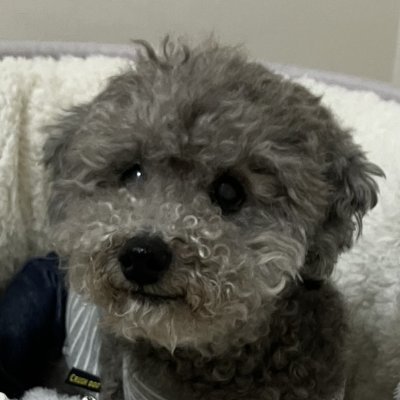 fieldwork2025's profile picture. 50代でIT資格取得頑張ります
クラウドエンジニアの資格取得にチャレンジ
2024年11月にAWS CLF合格後、モチベーションが下がってしまったので、再度燃え上がらせるためにX始めました
