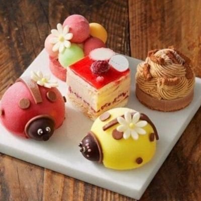 AcZ0t's profile picture. 私は#Targetedindividual sapporo🇯🇵40代で心不全 突発性拡張型心筋症(線維筋痛症 子宮腺筋症)父親は悪性黒色腫60歳で亡くなるその病院と縁があり薬剤部で4年半働きました。(私は免許はありません)💉非接種です。