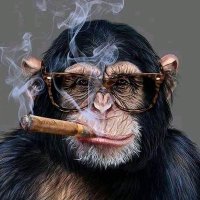 I'm Op (@thomasopy1) 's Twitter Profile
