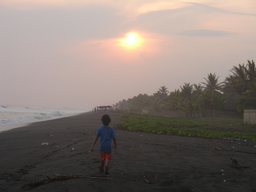 MELISANDRAA's profile picture. 