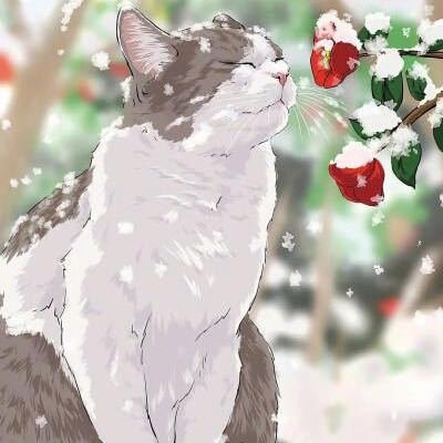 micheluccihj3's profile picture. Blockchain architect mining cryptocurrency