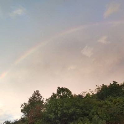 adlate21's profile picture. へっだー : @naokazutt　
FNF/Artist