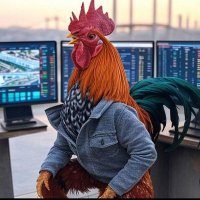 Köy Horozu (@koy_horozu) Twitter profile photo