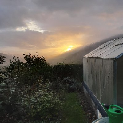 Duonalia1's profile picture. Landfrau, Autorin, Selbstdenkerin