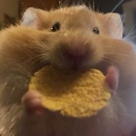 _99ukie's profile picture. 문구계 / 다꾸 / 필사 / 독서도 가끔 / 이별은 블언블

#꾸키필사 #꾸키다꾸 #꾸키피디수첩