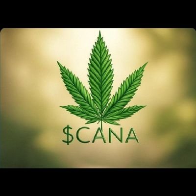 PeeYaw1620's profile picture. 