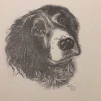 Sirans mum. (@siranspringer) 's Twitter Profile