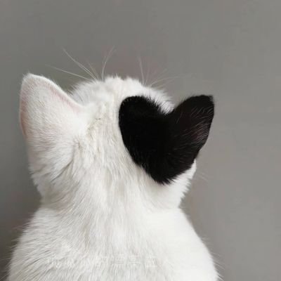 JollyArakunrin's profile picture. a mosaic of the mindstream, meandering musings, and heartfelt convictions of a passionate lover of life, nature, animals, femininity, luxury, and the universe.
