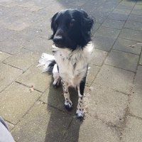 Ellie de B (@edb816223976984) 's Twitter Profile