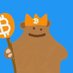 BITCOIN•GRIZZY 🌎☮️ (@bitcoin_grizzy) Twitter profile photo