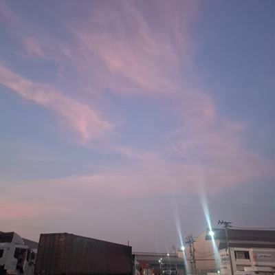 SungneinTa52194's profile picture. 