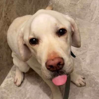 arushcs's profile picture. i click head | adv hard scoper for Full House @fhgesports

https://t.co/wUBO5VOcW5