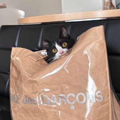 tetotetotetos's profile picture. 衣衣衣衣衣食食住住住住猫 （愛猫 @momimomimomis）