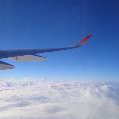 mm41t25t's profile picture. Ｊ事務所歴ｳﾝ十年のベテラン選手
気づいた時には嵐❤️担
タイプロを経て嵐以来のFC加入
timelesz🩵担　てらしのForeverだけど結局みんな好き
自担の色が変わりすぎて🩵色の持ち物なくて困ってるアラフォー