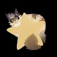 💫Spotberry🌙 (@shadowspirit_22) 's Twitter Profile Photo 💫Spotberry🌙 (@shadowspirit_22) 's Twitter Profile Photo