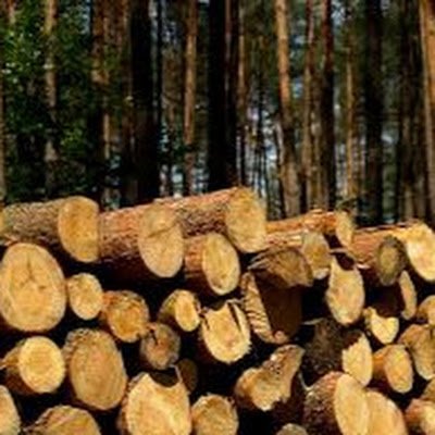 therealglu's profile picture. 