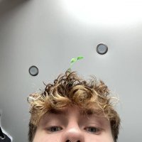 Dougwall (@dougwall89) 's Twitter Profile