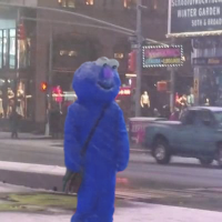 블루베흐 (@b1euvert) 's Twitter Profile