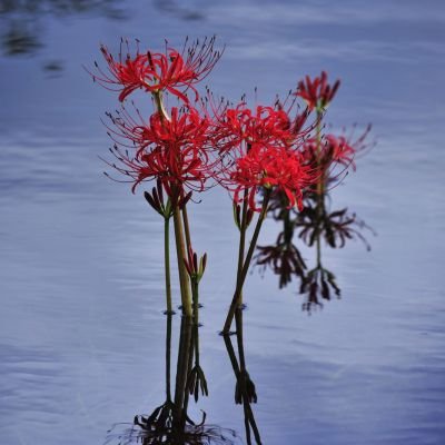 TakumiSato50221's profile picture. 