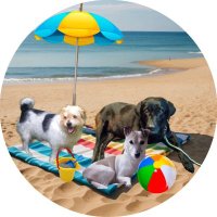 MariaBπΆπ Fergie, Tessa & Mr. Trebus πβ€οΈ (@maria_wildlife) 's Twitter Profile Photo MariaBπΆπ Fergie, Tessa & Mr. Trebus πβ€οΈ (@maria_wildlife) 's Twitter Profile Photo