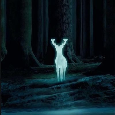 saeedss13840038's profile picture. 