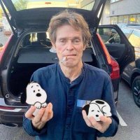 Pookie (@v33stappens) 's Twitter Profile
