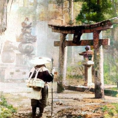 BlurredDude's profile picture. 