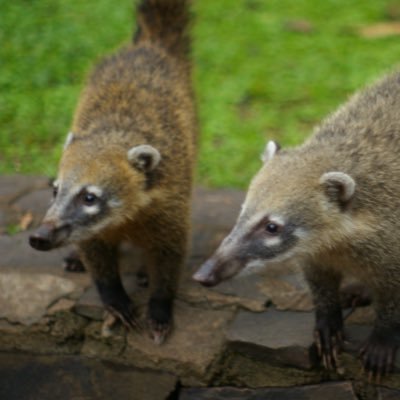 miklemouel's profile picture. #GIS#Apps#OpenData #Crowdsourcing #Mobilité #Astronomy #Mountain #Groundwater #HydroDataModel Chief Information Officer & GIS manager