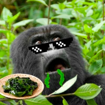 vPp6pAvrTa16971's profile picture. 何見てるのよ舐めるわよ
主におろちんゆー、黒柳徹子の声真似してます。