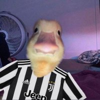 Papero (@papero_respawn) 's Twitter Profile