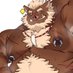 RollYuan_The_Boar (@yuancheng229) Twitter profile photo RollYuan_The_Boar (@yuancheng229) Twitter profile photo