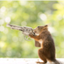 Sudarshan Pathak (@sudarshanp59588) Twitter profile photo