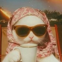 Andrew (@ghostttt09) 's Twitter Profile