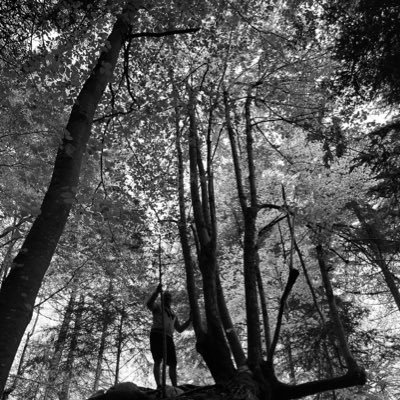 « Tempora mori, tempora mundis recorda. Voilà. Eh bien ça, par exemple, ça veut absolument rien dire, mais l’effet reste le même. »
