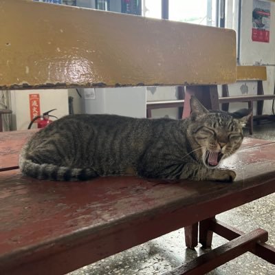 RPM_SR19's profile picture. I promise not to go, if you promise to stay (🌻//🦌🐬//🦙🐒//ติดตามหลายคู่จ้า) -GLจงเจริญ-