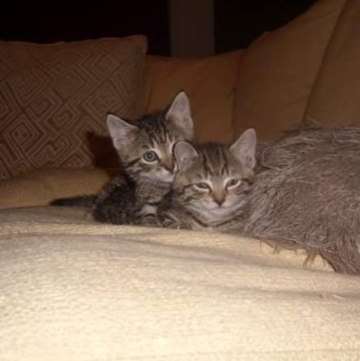 Dinky4790's profile picture. ...