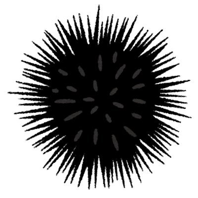 sss_sbr's profile picture. 僕らがみたのは　青春の全て