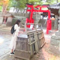 こんちゃん🌈⁽⁽Ԑ(꜆ ´●ω●)꜆⁾⁾ (@2a8vdbzykl3263) 's Twitter Profile