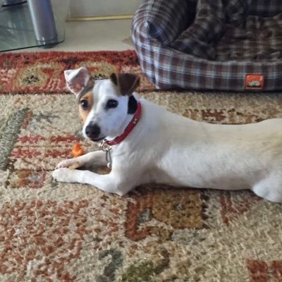 SofiaTheodosia2's profile picture. 