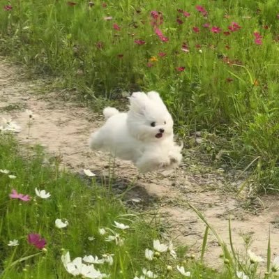 Army96432186's profile picture. 