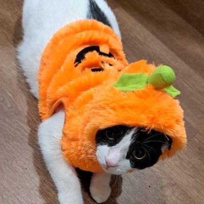 DrEstebanv's profile picture. La única verdad sin descubrir, es aquella que puede salvarte. #lookwithin #eternoaprendiz