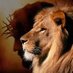 YESHUA RAMASHIACH IS THE ULTIMATE TRUTH (@chf_2022) Twitter profile photo YESHUA RAMASHIACH IS THE ULTIMATE TRUTH (@chf_2022) Twitter profile photo