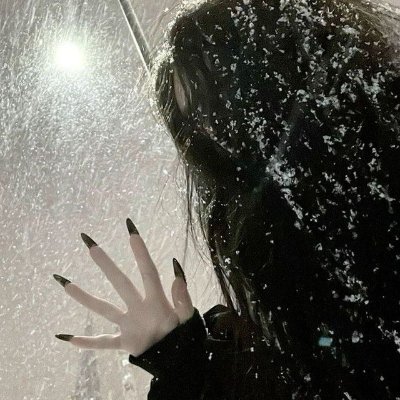 roman_volk65963's profile picture. 