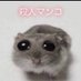 ノー勉プラベ (@noverlen_sub) Twitter profile photo ノー勉プラベ (@noverlen_sub) Twitter profile photo