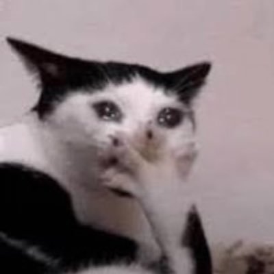 hobiisunflower's profile picture. the best moment is yet to come