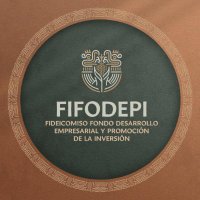 FIFODEPI (@fifodepi) 's Twitter Profile