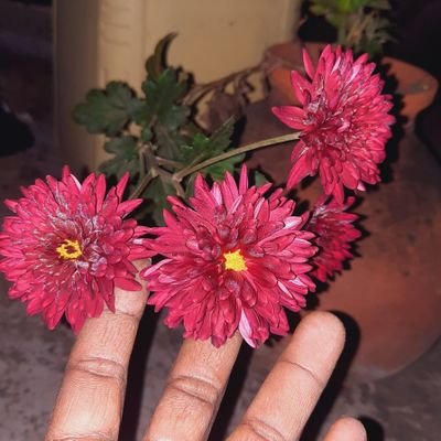 Naturesafari224's profile picture. 