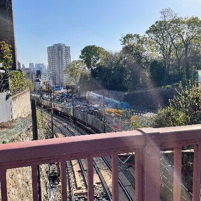 だんーいるさんのプロフィール画像